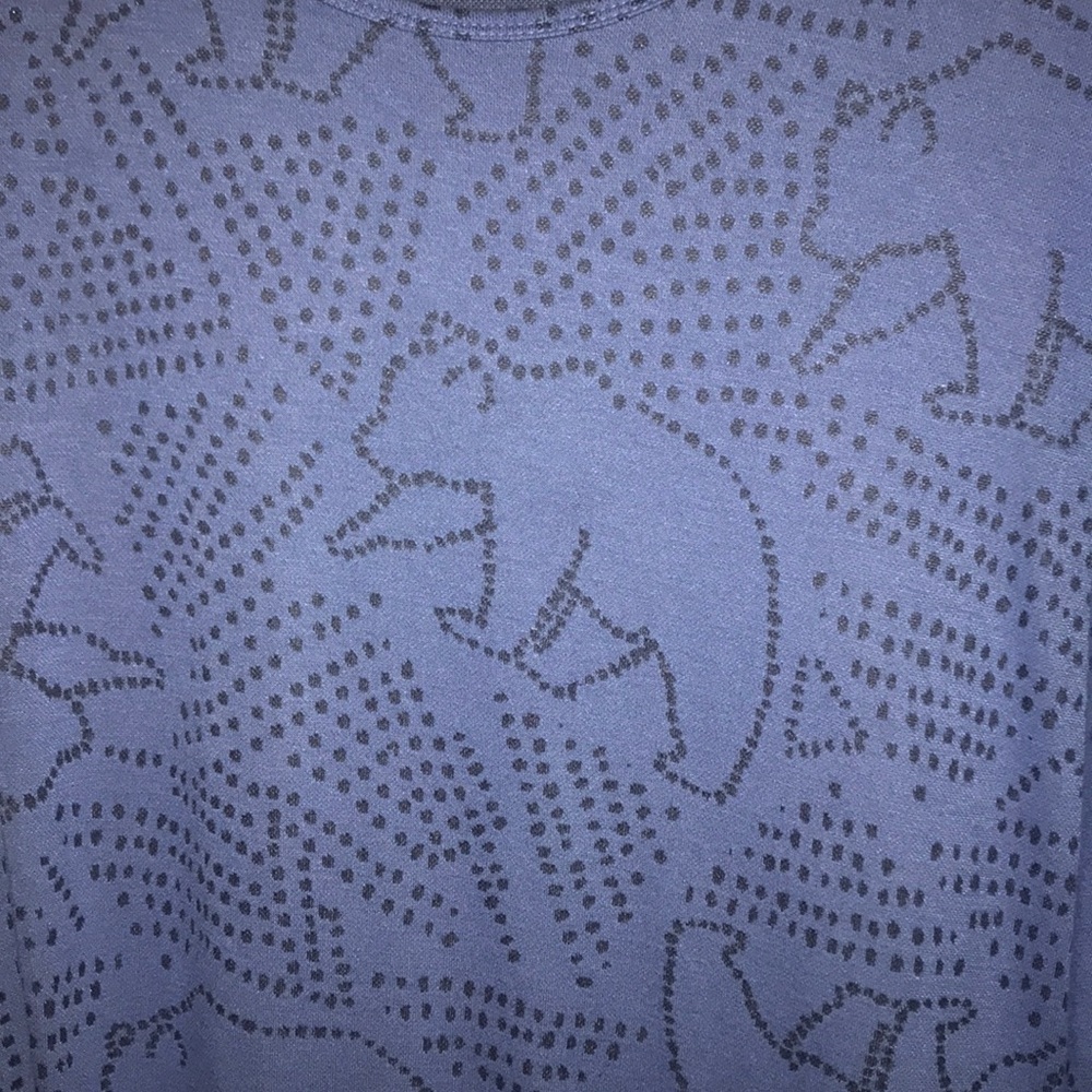 LLR Irma